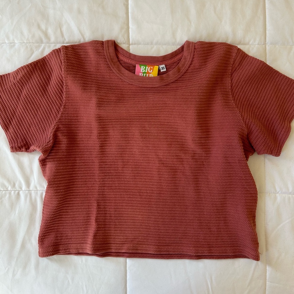 Big Bud Press Honeycomb Crop Tee Mauve Short Sleeve XS